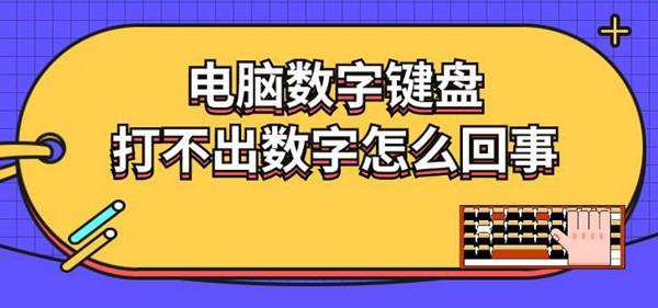 电脑数字键盘打不出数字怎么回事 原因及解决方法