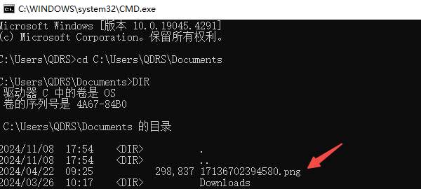 使用命令提示符显示