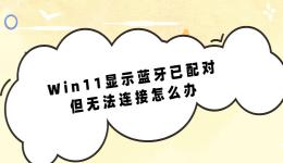 Win11显示蓝牙已配对但无法连接怎么办 可以试试这几个方法