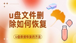 u盘文件删除如何恢复 U盘数据恢复的方法