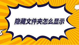 隐藏文件夹怎么显示 5种方法教会你