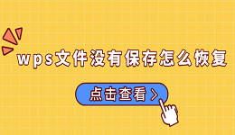 wps文件没有保存怎么恢复 试试这5个方法