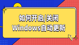 如何开启/关闭Windows自动更新 一学就会