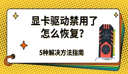 显卡驱动禁用了怎么恢复?解决方法指南