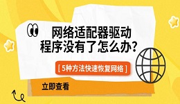 网络适配器驱动程序没有了怎么办?5种方法快速恢复网络